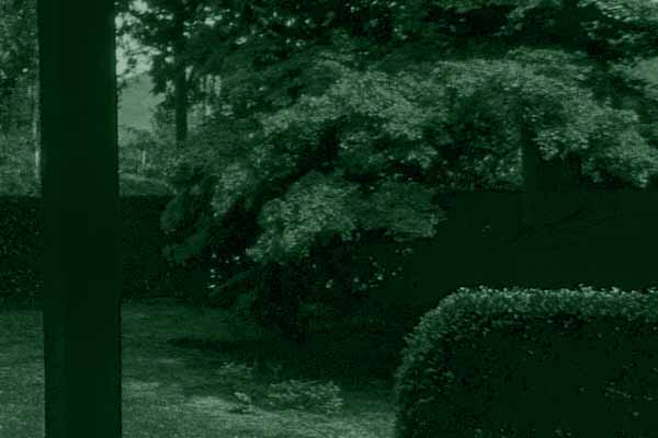 徘徊の番組表_圓通寺_5.jpg